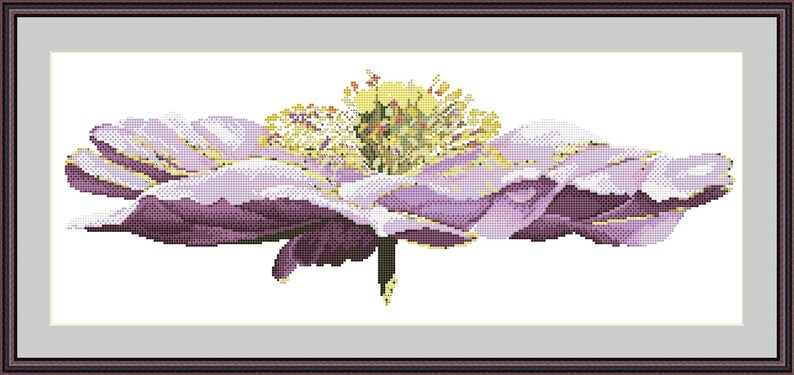 K&ouml;nnte beinhalten: Nahaufnahme einer lila Blume mit gelber Mitte. Die Blume ist scharf gestellt und der Hintergrund ist verschwommen.