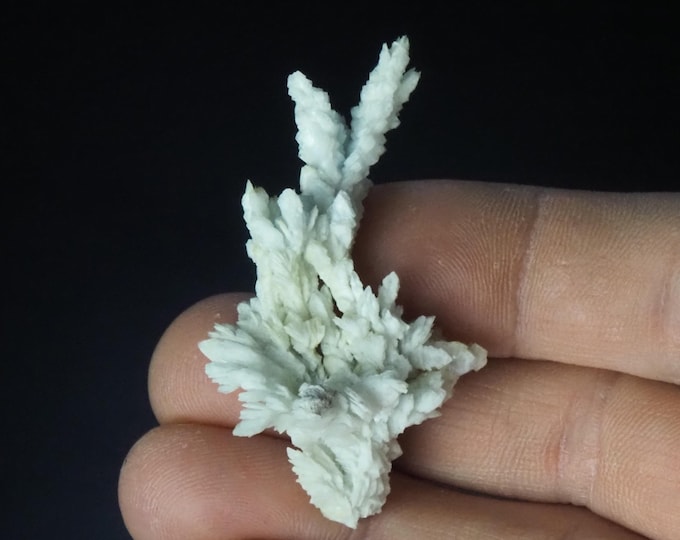 BARYTE arborescent crystals 5,3 x 3,0 x 2,0 cm SPAIN