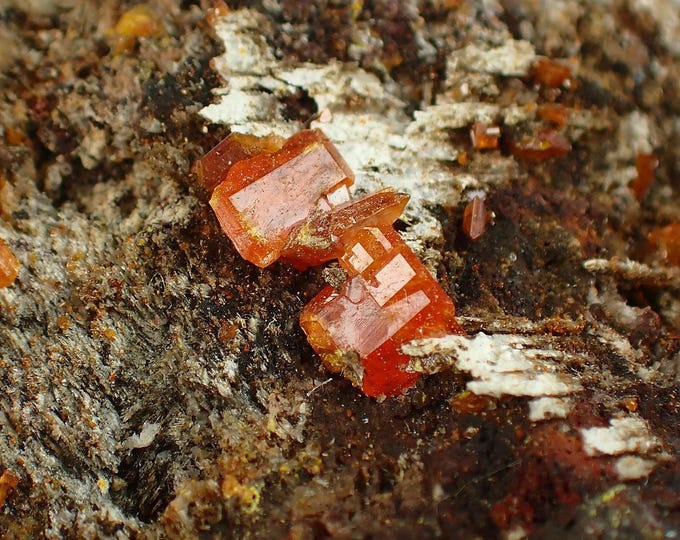 WULFENITE crystals on matrix 10,5 x 6,0 x 2,3 cm Red Cloud mine, U.S. 11656