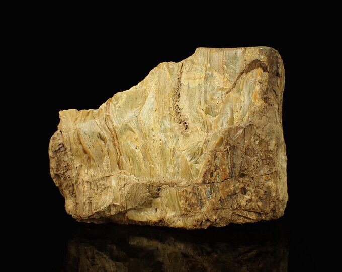 Petrified Wood with Fluorescent Amber 9,0 x 6,5 x 5,5 cm Indonesia 12882