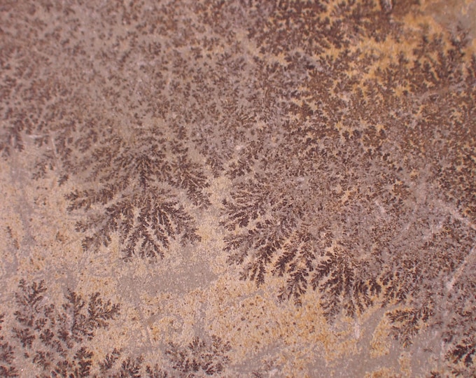 DENDRITES tree-like mineral patterns 14,5 x 7,7 x 1,0 cm POLAND