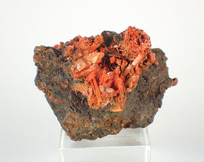 CROCOITE red crystals on matrix from AUSTRALIA 9665