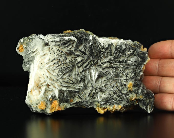 BARYTE 11.5 x 6.5 x 6.5 cm from MOROCCO 12486