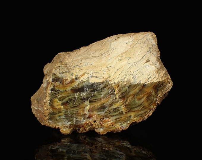Petrified Wood with Fluorescent Amber 7,0 x 6,0 x 4,7 cm Indonesia 12883