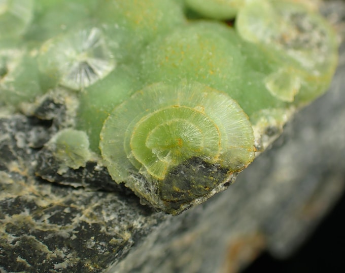 WAVELLITE radial crystals 5,0 x 3,5 x 3,2 cm from U.S.