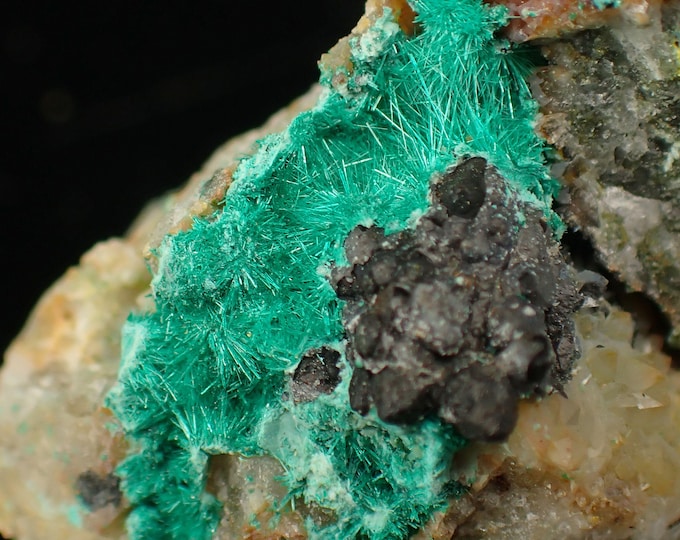 BROCHANTITE crystals on matrix 3,5 x 2,1 x 1,9 cm from CHILE 13212