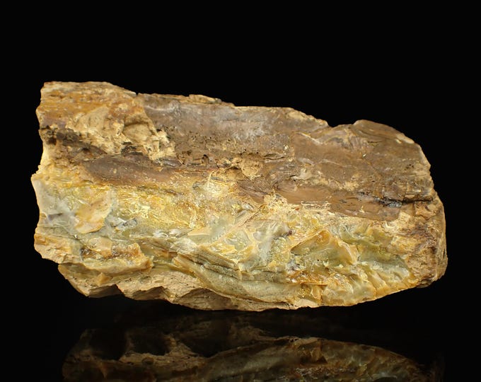 Petrified Wood with Fluorescent Amber 8,0 x 4,2 x 4,0 cm Indonesia 12881