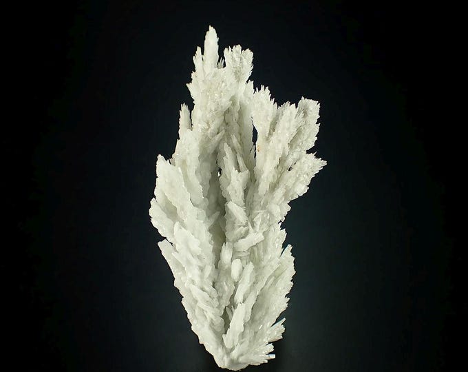 BARYTE arborescent crystals 4,3 x 2,0 x 1,5 cm SPAIN 11701