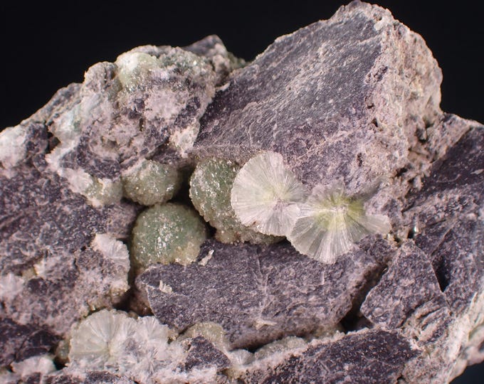 WAVELLITE Crystals on Matrix 7,0 x 5,2 x 2,1 cm - Mauldin Mt., USA