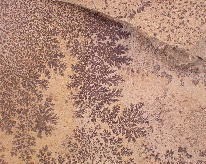 DENDRITES tree-like mineral patterns 14,5 x 7,5 x 3,5 cm POLAND