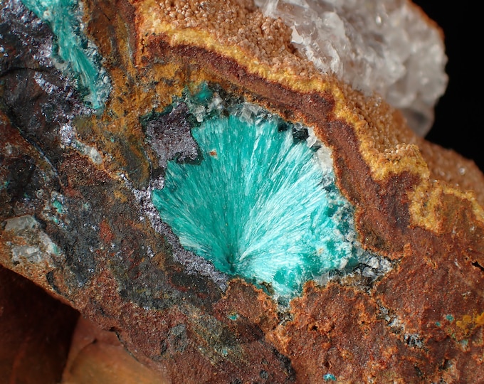 AURICHALCITE blue radial crystals on matrix from MEXICO 10737