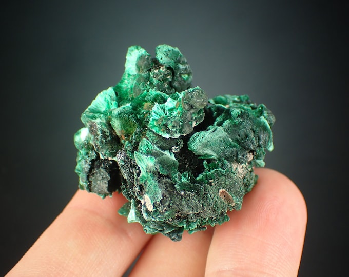 MALACHITE velvet crystals from DR CONGO 1116N