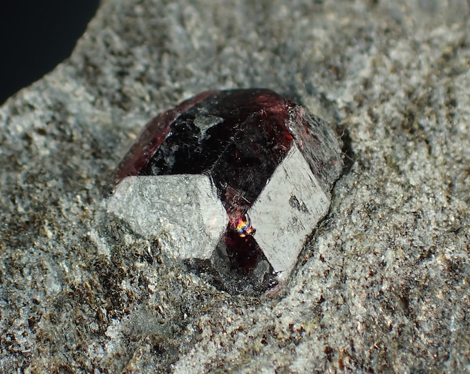 GARNET var ALMANDINE 6,0 x 3,7 x 1,6 cm from Alaska, U.S.