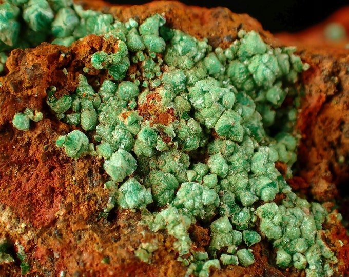 CONICHALCITE green crystals on limonite from Mexico 7586