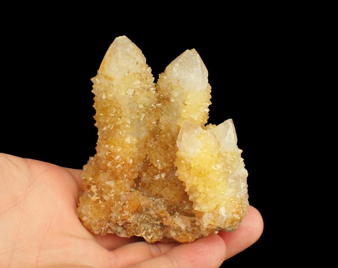 cactus QUARTZ crystals 7,8 x 6,5 x 3,0 cm SOUTH AFRICA 13012
