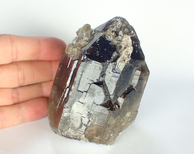 Smoky Quartz DT Crystal 9,0 x 6,7 x 4,7 cm POLAND