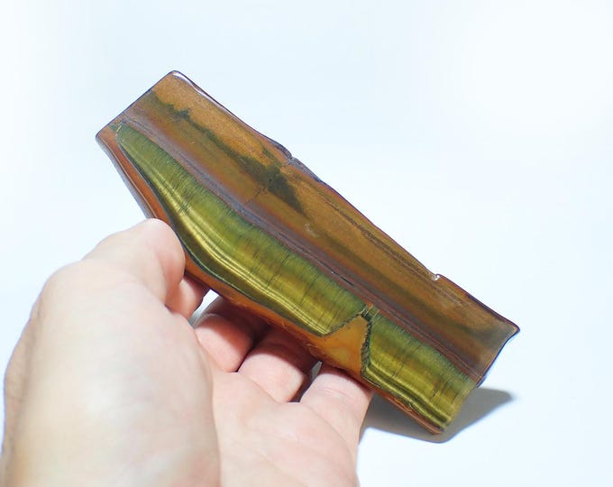 TIGER EYE polished slice 12,7 x 4,2 x 0,8 cm from South Africa