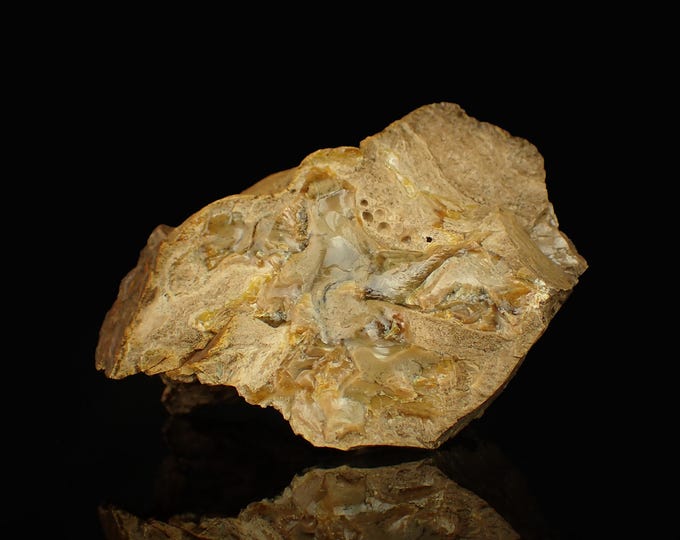 Petrified Wood with Fluorescent Amber 7,0 x 4,5 x 3,5 cm Indonesia 12886
