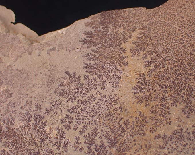DENDRITES tree-like mineral patterns 14,5 x 5,0 x 1,0 cm POLAND