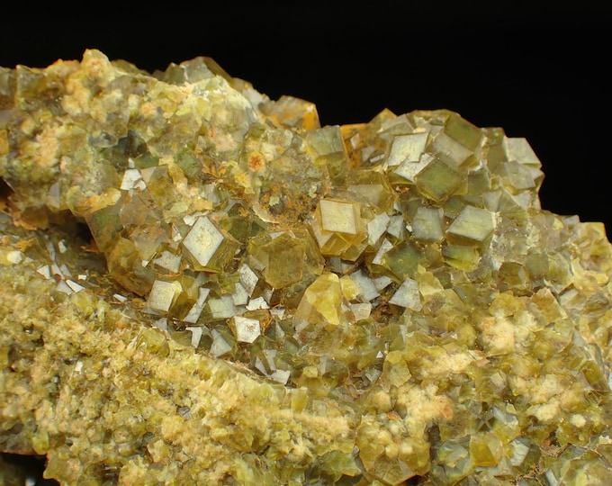 GARNET var TOPAZOLITE crystals 7,8 x 5,0 x 3,6 cm Stanley Butte, U.S. 12838