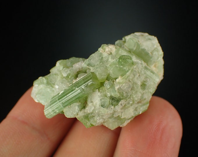 TOURMALINE green crystal cluster from AFGHANISTAN 1153N
