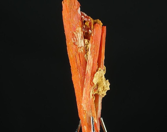 CROCOITE crystal cluster 2,5 x 0,6 x 0,6 cm from AUSTRALIA