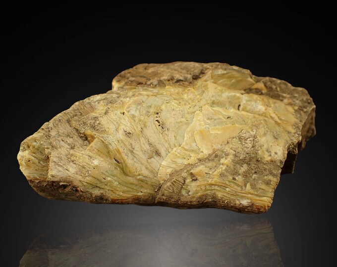 Petrified Wood with Fluorescent Amber 10,5 x 7,0 x 5,5 cm Indonesia 12884