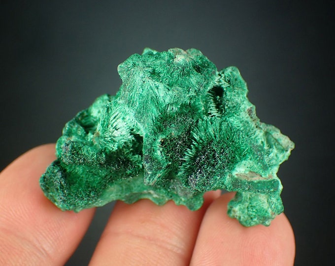 MALACHITE velvet crystals from DR CONGO 1117N