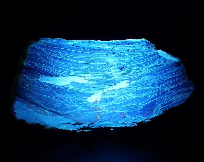 Petrified Wood with Fluorescent Amber 9,0 x 4,5 x 3,0 cm Indonesia