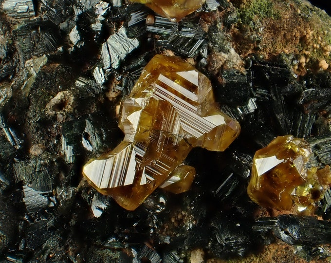 ANDRADITE garnet with actinolite crystals 11154