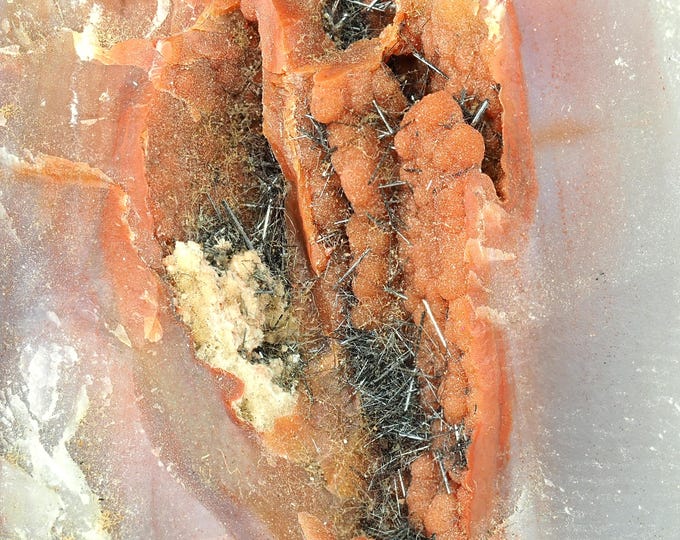 PETRIFIED WOOD with Goethite 6,5 x 6,5 x 2,5 cm from Arizona, U.S. 12383