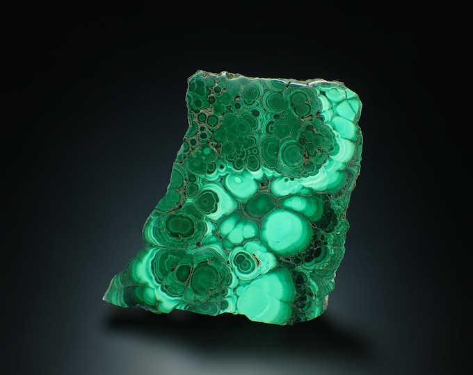 MALACHITE polished slice 8,0 x 6,5 x 0,6 cm DR Congo
