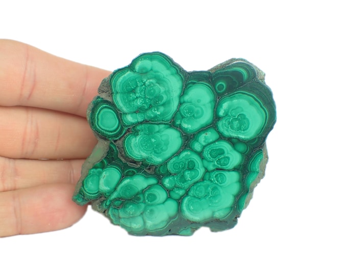 MALACHITE polished slice 7,4 x 6,3 x 0,6 cm DR Congo