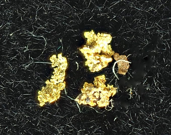 NATIVE GOLD crystalline specimens 1 x 1 x 1 mm USA