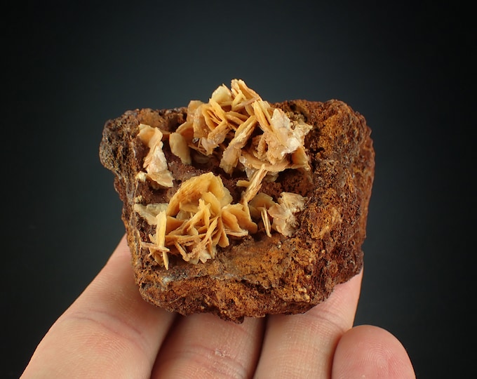 Baryte rose crystal cluster Ojuela mine, Mexico 1071N