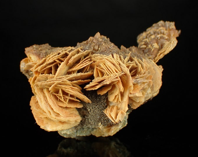 Baryte rose crystal cluster Ojuela mine, Mexico 10452