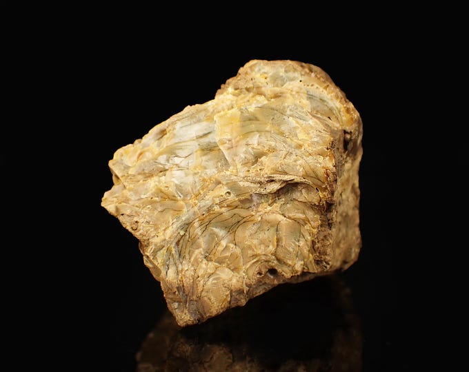 Petrified Wood with Fluorescent Amber 8,0 x 5,0 x 4,5 cm Indonesia 12878