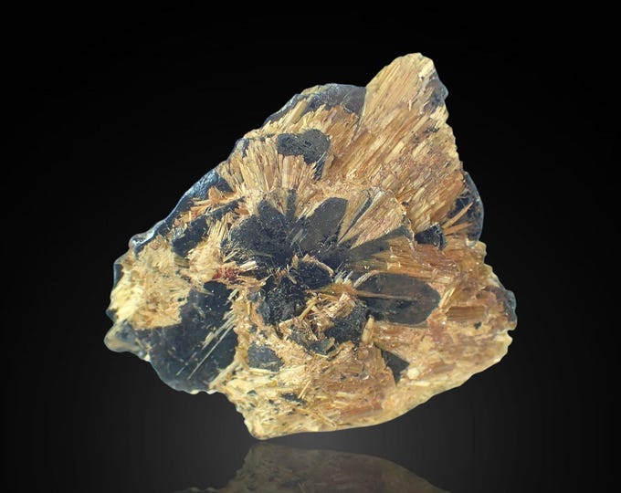 RUTILE on hematite crystals 2,8 x 2,3 x 0,5 cm BRAZIL 11553