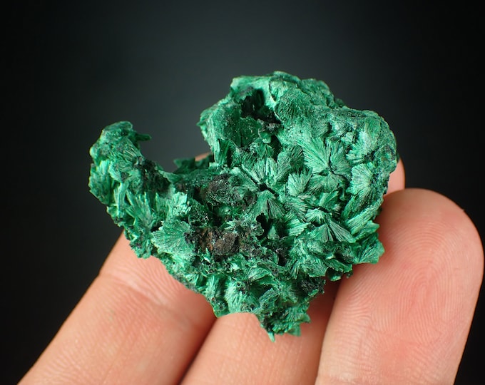MALACHITE velvet crystals from DR CONGO 1115N