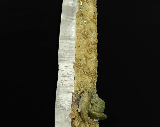 QUARTZ with siderite 7,6 x 2,0 x 1,8 cm PORTUGAL 12420
