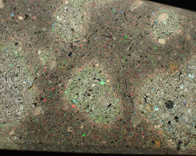 black OPAL 5,5 x 1,6 x 1,5 cm from HONDURAS 13301
