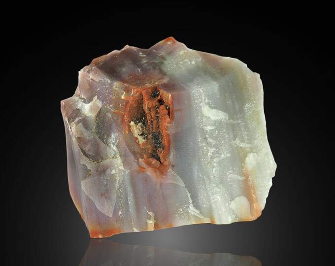 PETRIFIED WOOD with Goethite 6,5 x 6,5 x 2,5 cm from Arizona, U.S. 12383