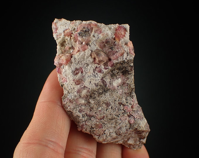 GARNET var ROSOLITE crystal cluster from MEXICO 1088N