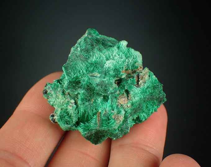 MALACHITE velvet crystals from DR CONGO 1113N