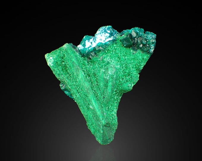 DIOPTASE on malachite with plancheite 5,2 x 4,0 x 2,3 cm from CONGO 13185