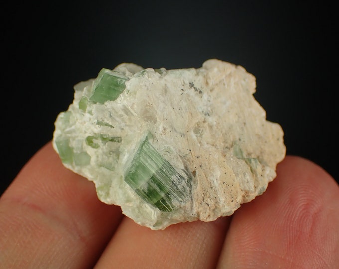 TOURMALINE green crystal cluster from AFGHANISTAN 1151N