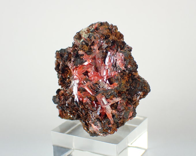 CROCOITE red crystals on matrix from AUSTRALIA 9664