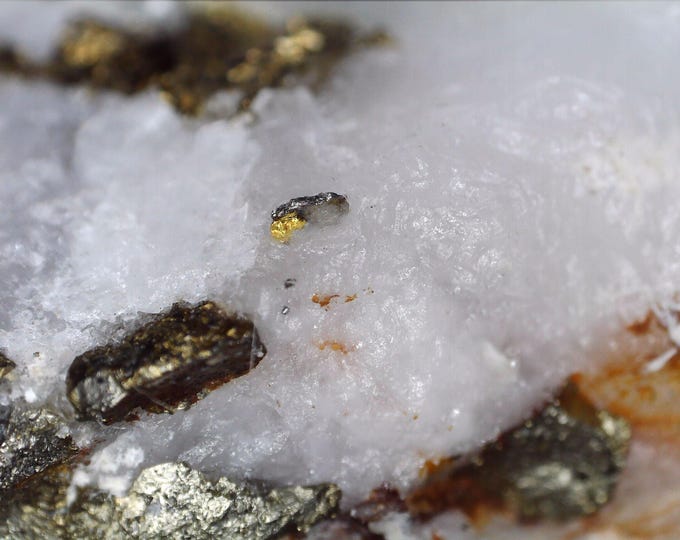 NATIVE GOLD with Pyrite on Quartz 3,5 x 2,3 x 2,2 cm Jilove