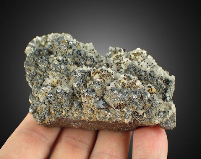 CHALCOPYRITE and galena on dolomite from U.S. 1075N
