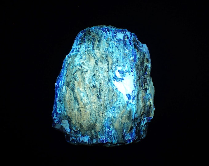 Petrified Wood with Fluorescent Amber 8,3 x 6,7 x 3,1 cm Indonesia